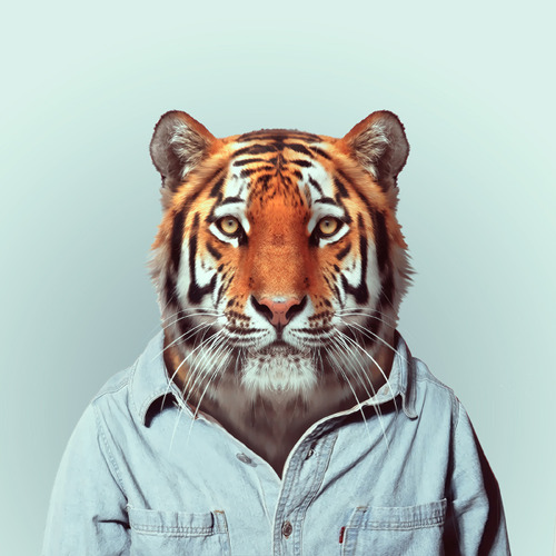 tumblr_mk24a5QcX61s7aky5o1_r1_500