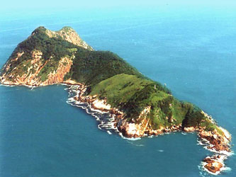 Queimada_Grande_web