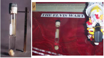 elvis