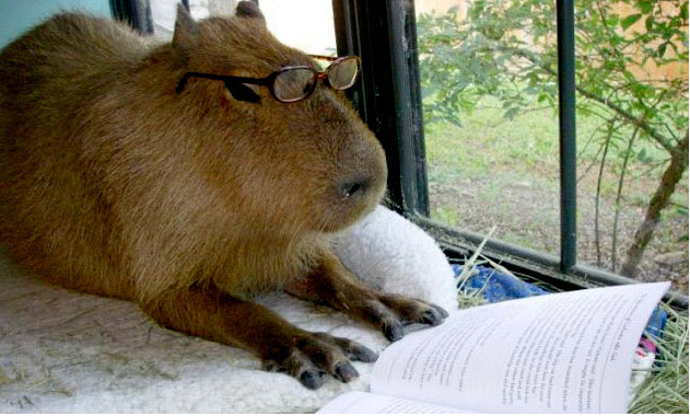 1-9-2553 19-05-12 1-9-2553 19-05-12