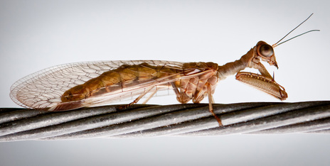 47อันดับภาพสุดยอดของ National Geographic