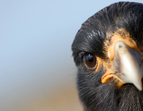 47อันดับภาพสุดยอดของ National Geographic