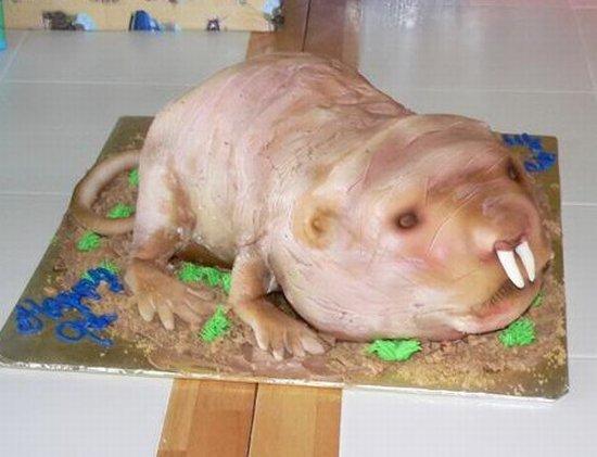 Attached Image: 550_naked-mole-rat.jpg