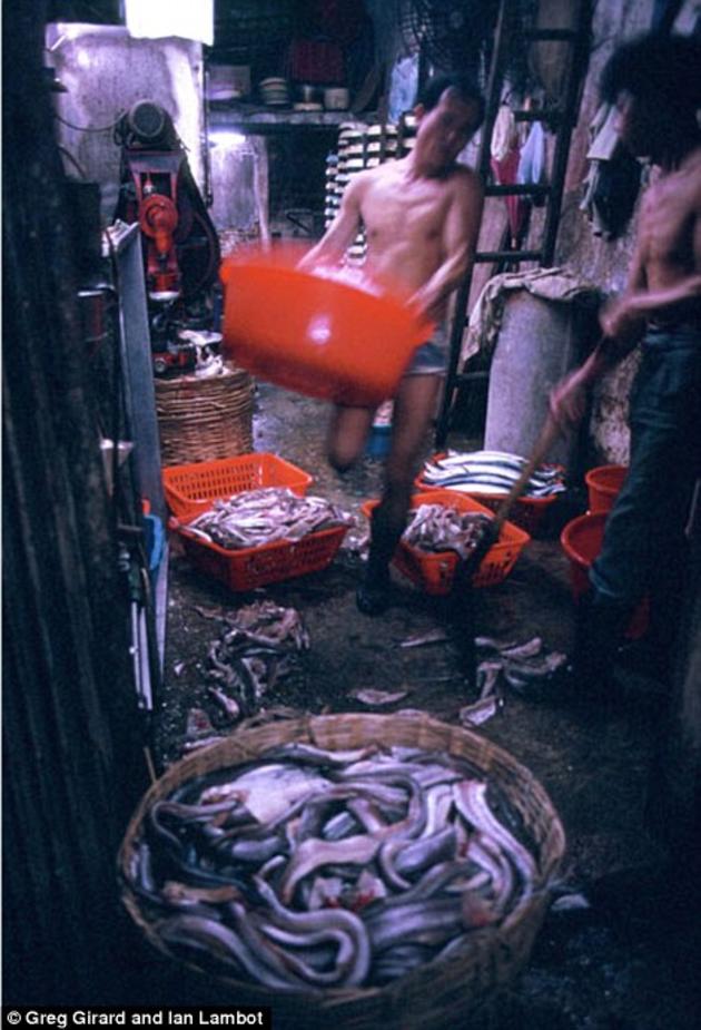 A fish processing shop inside of the Kowloon City