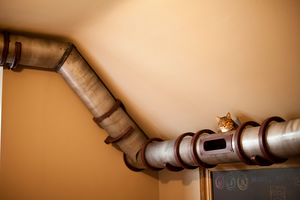 1 steampunk cat tube 3 10 บ้านคนรักแมว ที่แต่งบ้านให้แมวอยู่อย่างมีความสุข