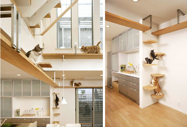 2 ultimate cat house 1 10 บ้านคนรักแมว ที่แต่งบ้านให้แมวอยู่อย่างมีความสุข