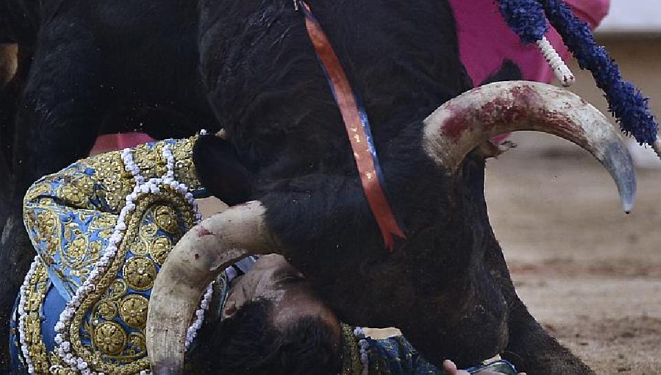 ภาพสุดสยอง เทศกาลสู้วัวกระทิงที่สเปน