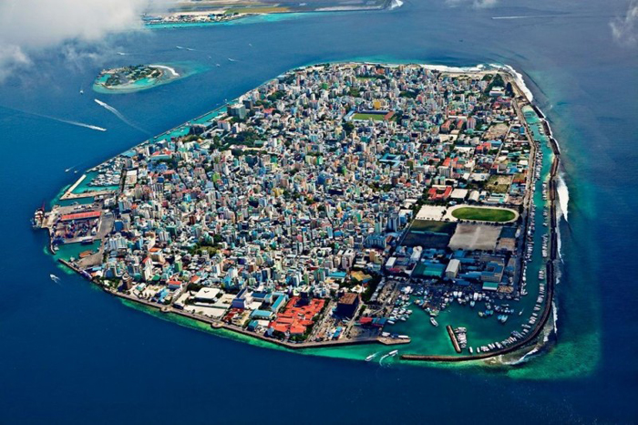 male maldives (7)