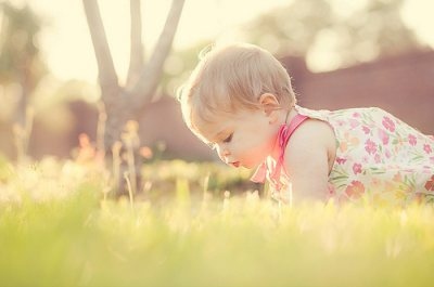 baby, bright, cute, flower, flowers