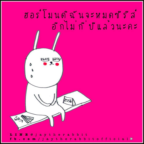 เจ๊ต่าย jaytherabbit