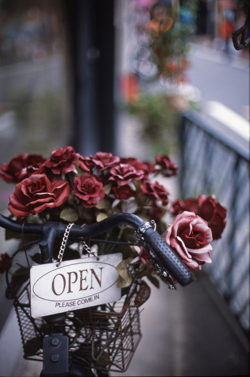 ภาพสวยๆ หลายมุม ของ จักรยาน