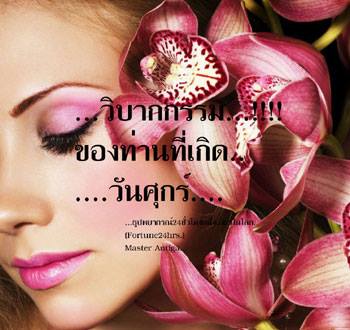 images by free.in.th