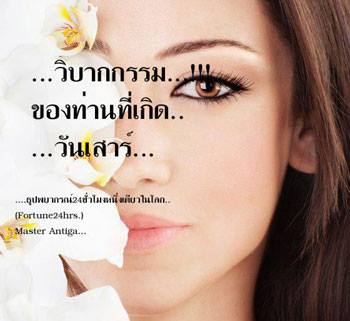 images by free.in.th