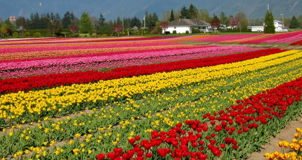 most-romantic-railway-europe2