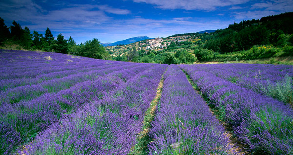 most-romantic-railway-europe4