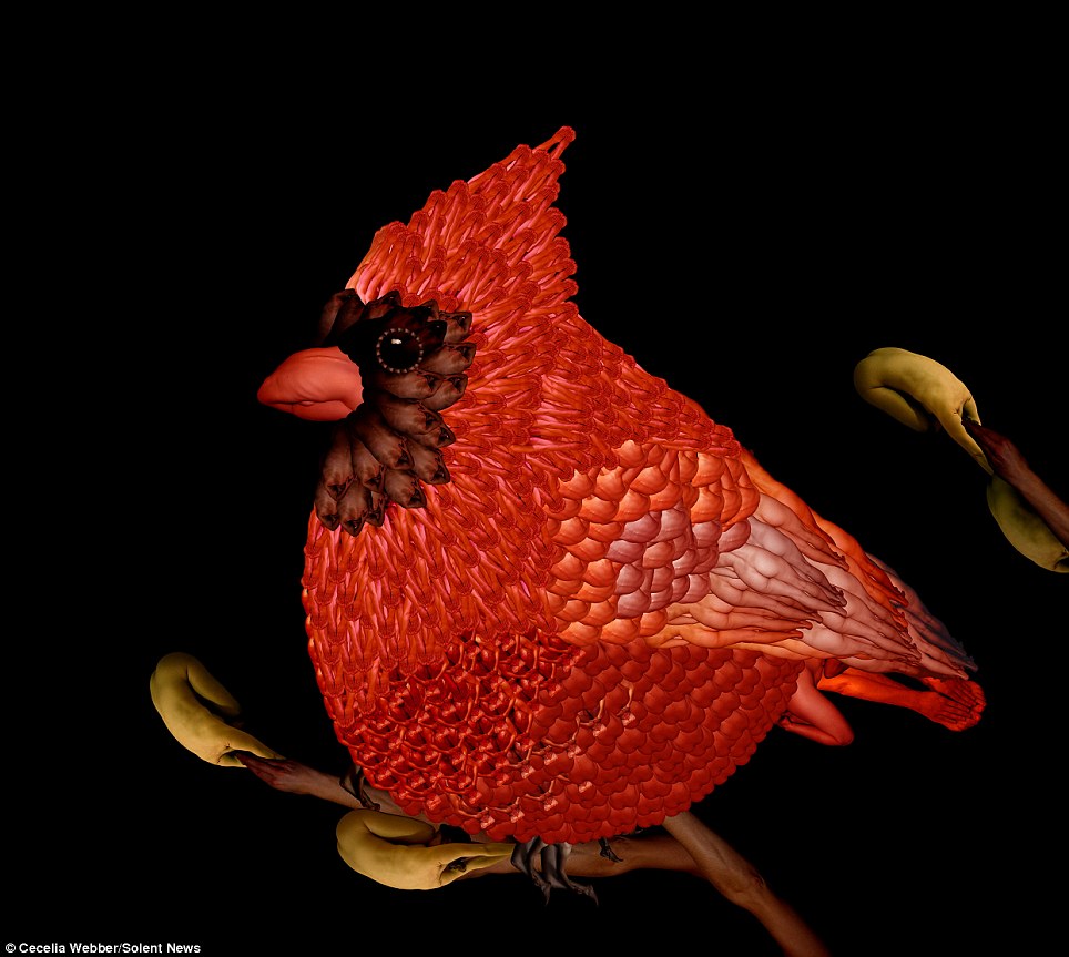 Bird's eye view: Look closely and you'll see this beautiful picture of a colourful bird is made up entirely from images of humans