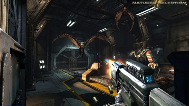 natural-selection-2-610x344