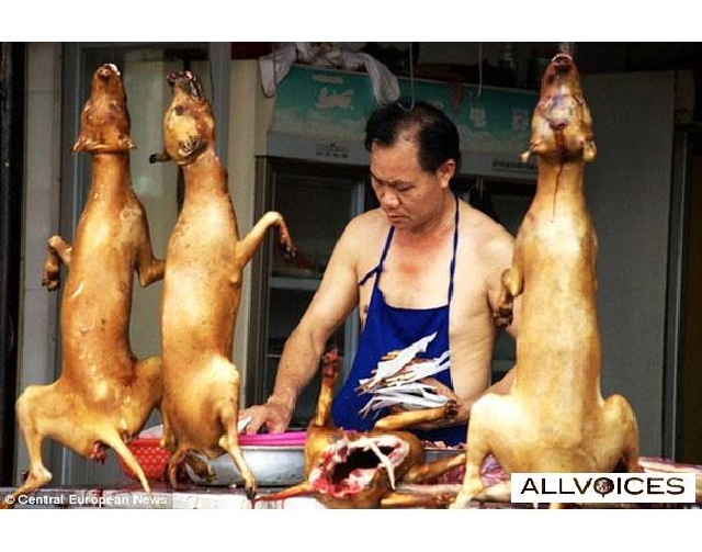 เวียดนามเชิญชวนคนไทย เที่ยวตลาดซาปา กินหมา
