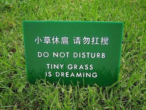 funny_chinese_translation_28