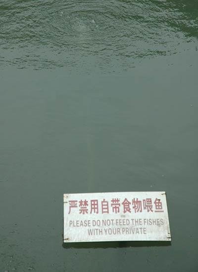 funny_chinese_translation_28_3