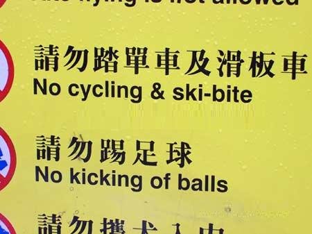 funny_chinese_translation_28_4