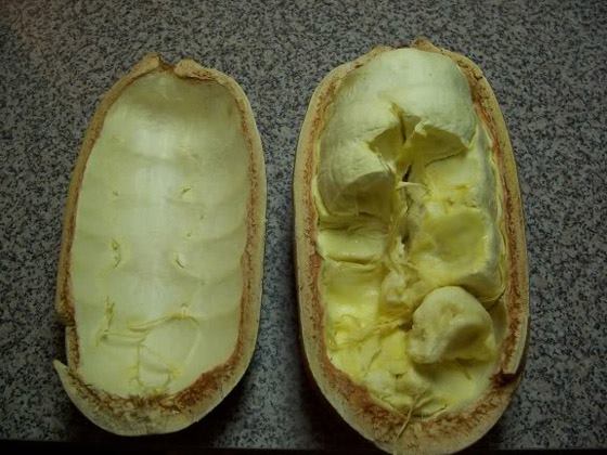 คัพพอสสู