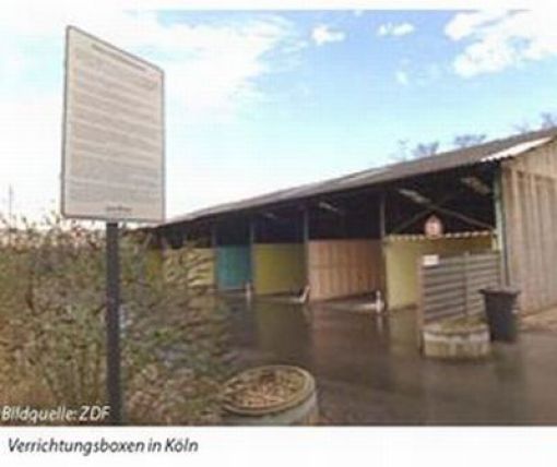 Sex Business in Europe (7 pics)