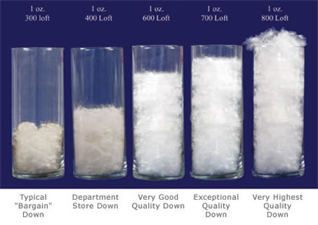 1388830516-loftpower-o