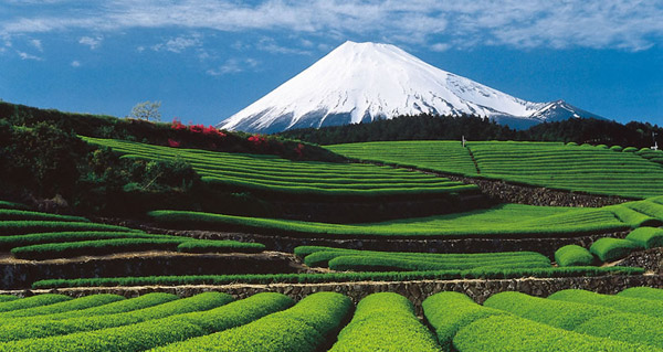 fuji-eruption2