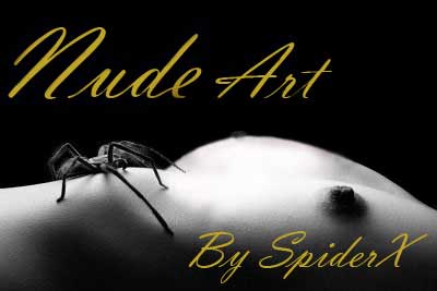 SpiderX ศิลปินภาพ Nude มืออาชีพ จบการศึกษาจาก วิทยาลัยเพาะช่าง และศิษย์ก้นกุฏิ ไทยวิจิตรศิลป์อาชีวะ