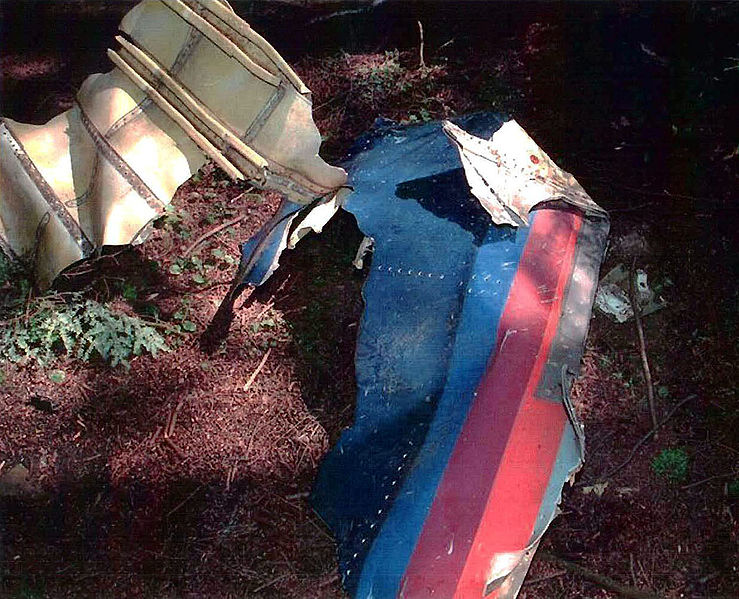 File:UA93 livery debris.jpg