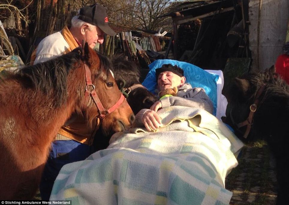 Touching: Last year the charity took a terminally-ill 86-year-old man back to his farm in Oss, Holland, to say goodbye to his ponies