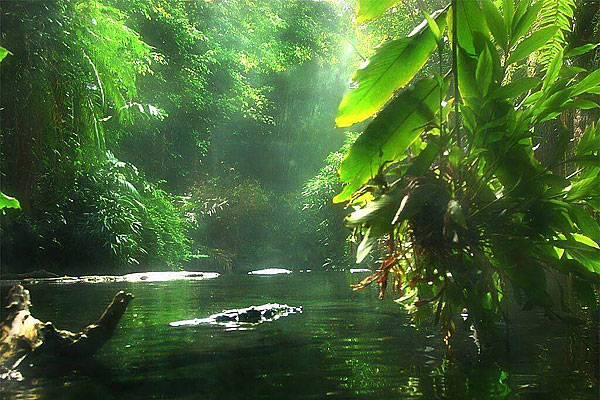 7 สิ่งมหัศจรรย์ทางธรรมชาติยุคใหม่ 7 สิ่งมหัศจรรย์ทางธรรมชาติยุคใหม่