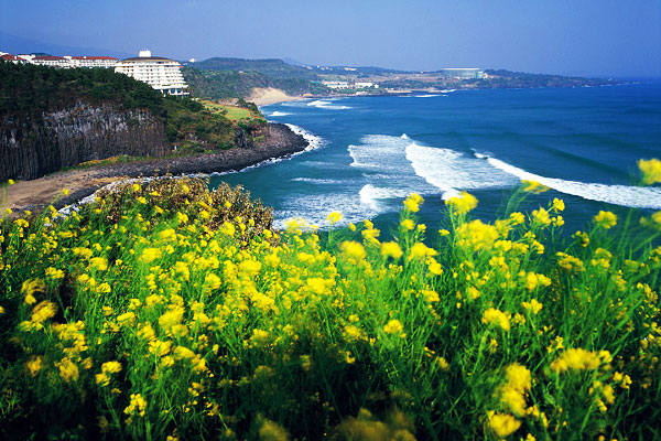 7 สิ่งมหัศจรรย์ทางธรรมชาติยุคใหม่ 