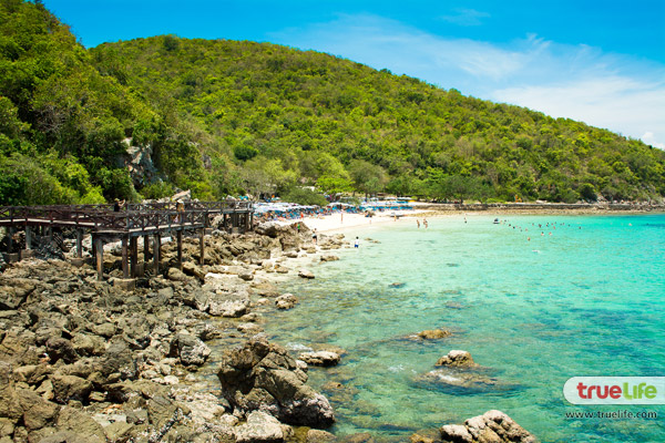 เที่ยวเกาะล้าน พัทยา ทะเลใกล้กรุงเทพฯ ฟ้าคราม น้ำใส ทะเลสวย อาบแดดสุดชิลล์