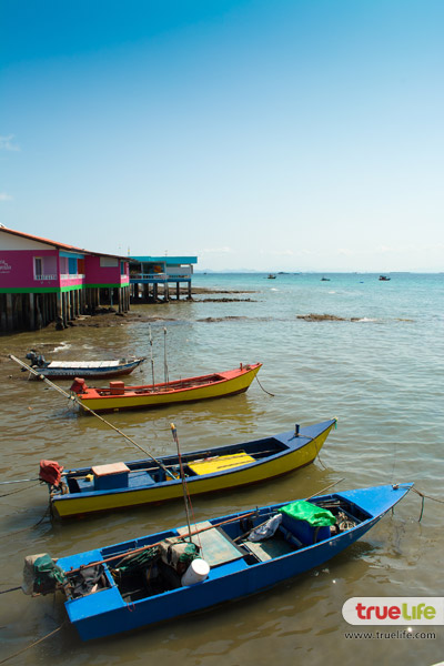 เที่ยวเกาะล้าน พัทยา ทะเลใกล้กรุงเทพฯ ฟ้าคราม น้ำใส ทะเลสวย อาบแดดสุดชิลล์