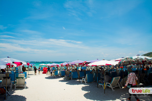 เที่ยวเกาะล้าน พัทยา ทะเลใกล้กรุงเทพฯ ฟ้าคราม น้ำใส ทะเลสวย อาบแดดสุดชิลล์