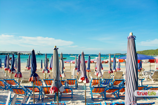 เที่ยวเกาะล้าน พัทยา ทะเลใกล้กรุงเทพฯ ฟ้าคราม น้ำใส ทะเลสวย อาบแดดสุดชิลล์