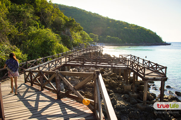 เที่ยวเกาะล้าน พัทยา ทะเลใกล้กรุงเทพฯ ฟ้าคราม น้ำใส ทะเลสวย อาบแดดสุดชิลล์