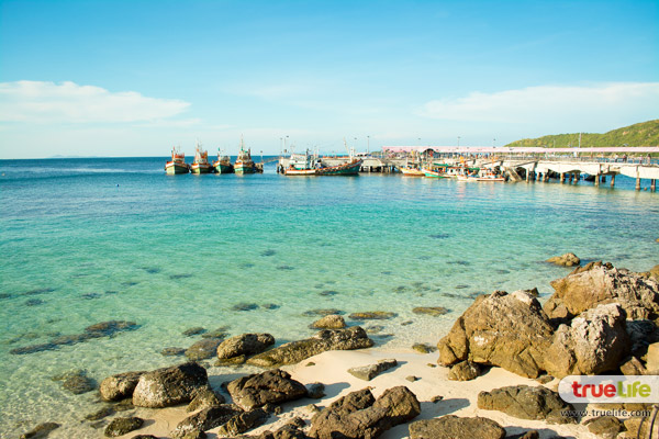 เที่ยวเกาะล้าน พัทยา ทะเลใกล้กรุงเทพฯ ฟ้าคราม น้ำใส ทะเลสวย อาบแดดสุดชิลล์