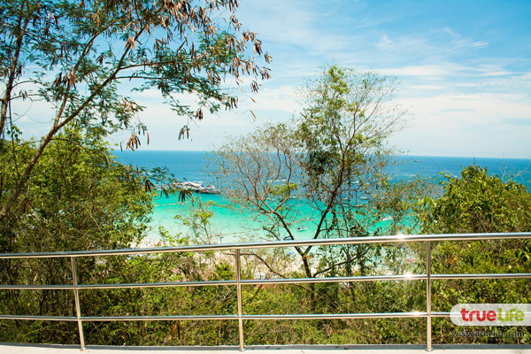 เที่ยวเกาะล้าน พัทยา ทะเลใกล้กรุงเทพฯ ฟ้าคราม น้ำใส ทะเลสวย อาบแดดสุดชิลล์