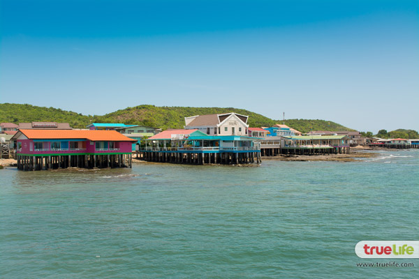 เที่ยวเกาะล้าน พัทยา ทะเลใกล้กรุงเทพฯ ฟ้าคราม น้ำใส ทะเลสวย อาบแดดสุดชิลล์