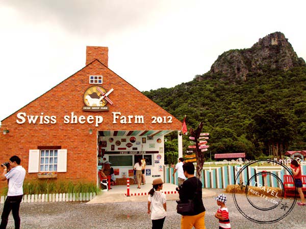 เที่ยวลิตเติ้ลยูโรคันทรี แฮปปี้ที่ “Swiss Sheep Farm”
