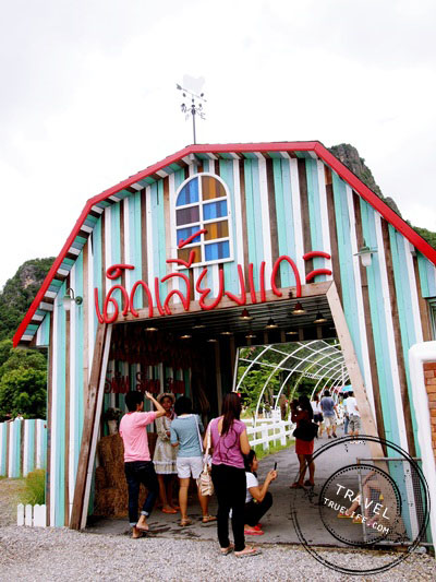 เที่ยวลิตเติ้ลยูโรคันทรี แฮปปี้ที่ “Swiss Sheep Farm”