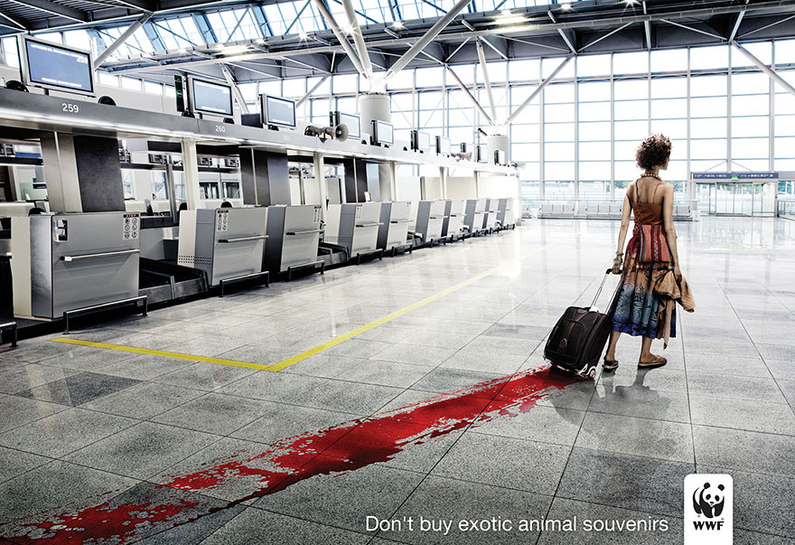 Don’t Buy Exotic Animal Souvenirs.