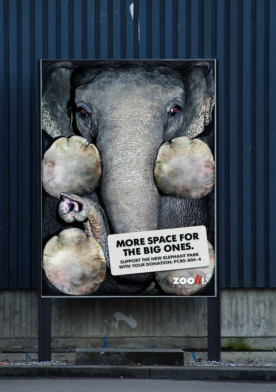 Zurich Zoo: More Space For The Big Ones.