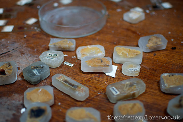 ที่มาภาพ: <a href=