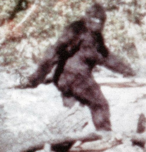 เที่ยวตามรอย สัตว์ประหลาด ลึกลับ รอบโลก ตำนานที่ยังคงเป็นปริศนา