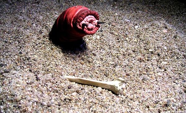 เที่ยวตามรอย สัตว์ประหลาด ลึกลับ รอบโลก ตำนานที่ยังคงเป็นปริศนา