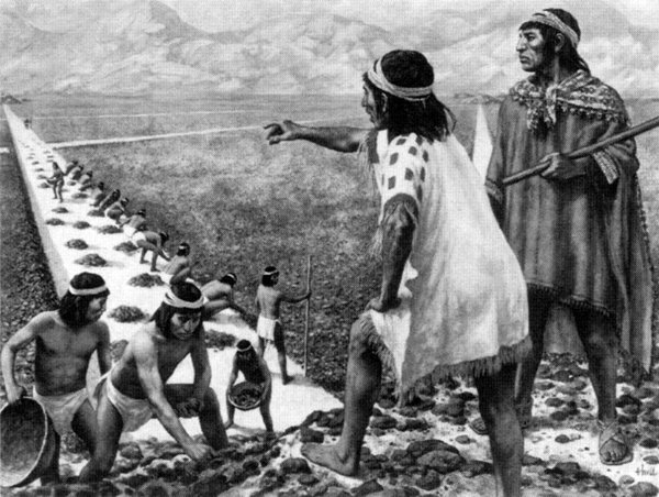 ปริศนา ลายเส้นโบราณ นาซก้า อารยธรรมสาบสูญแห่งเปรู สาร์นจากมนุษย์สู่เบื้องบน